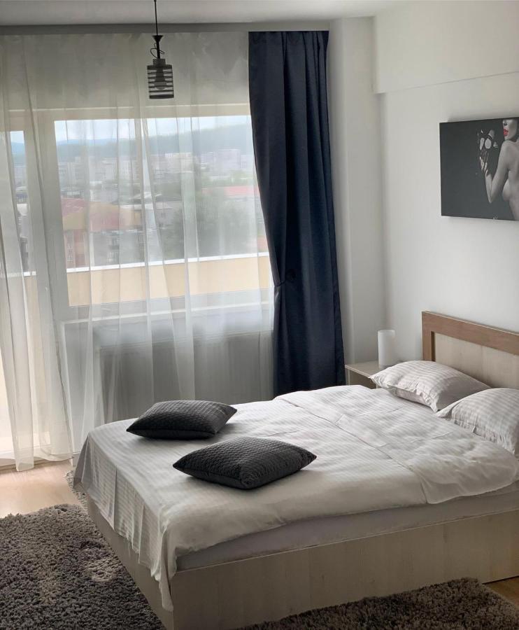 Conest Vision Studio Iasi Eksteriør billede